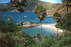 Beach of Krabi