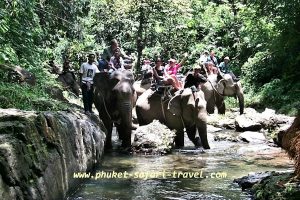 Elefant Trekking Khao Sok National Park Thailand