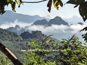 Khao Sok National Park Phuket Safari Travel