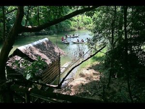 River Canoe Tour