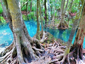 Thailand's Untouched Nature