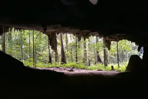 Wat Tham Suea Cave