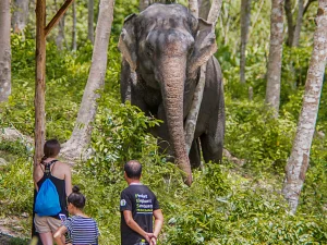 Elephant Sanctuary Phuket
