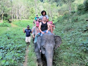 Elephant Trekking Thailand