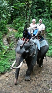 Phuket Elephant Safari in Thailand